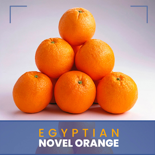Orange Navel