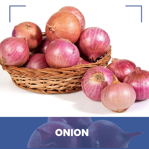 Oignon